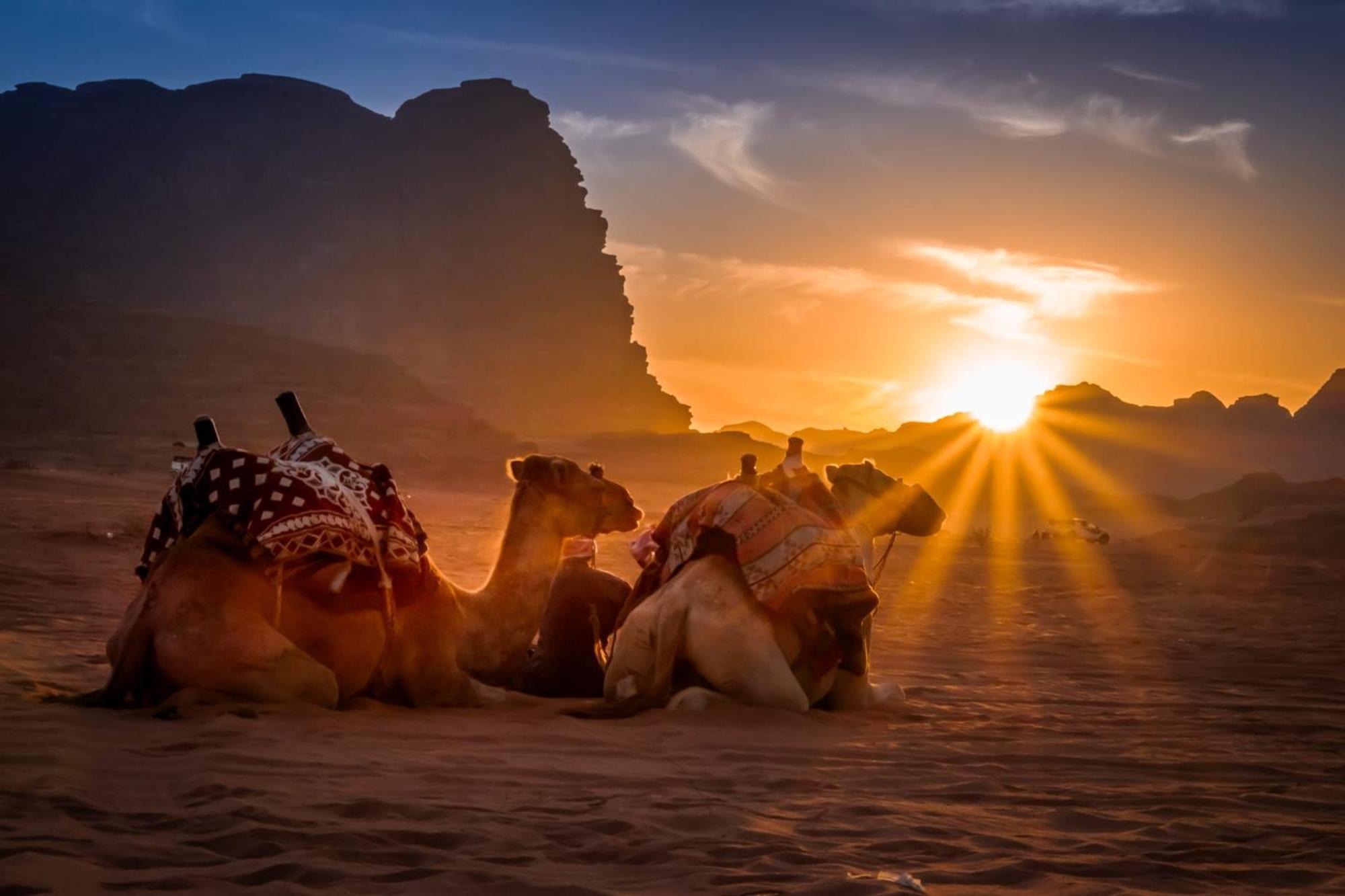 Wadi Rum Mundo Camp Aqaba Ngoại thất bức ảnh